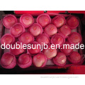 Red FUJI Apple (Yantai Origin, China)